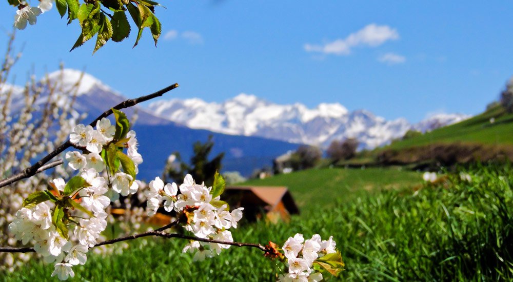 Frühlingserwachen – Günstiger Urlaub im April › Putzerhof