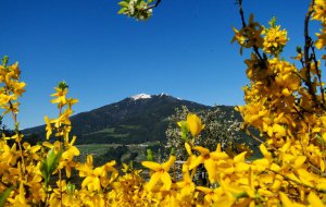 Frühlingsurlaub in Südtirol