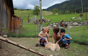 Familienfreundlicher Kinderbauernhof