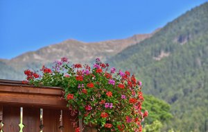 ausblick-in-die-dolomiten