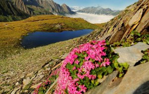 urlaub-suedtirol-wandern