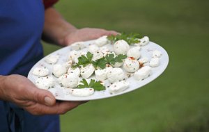 Halbpension am Bauernhof - Mozzarella