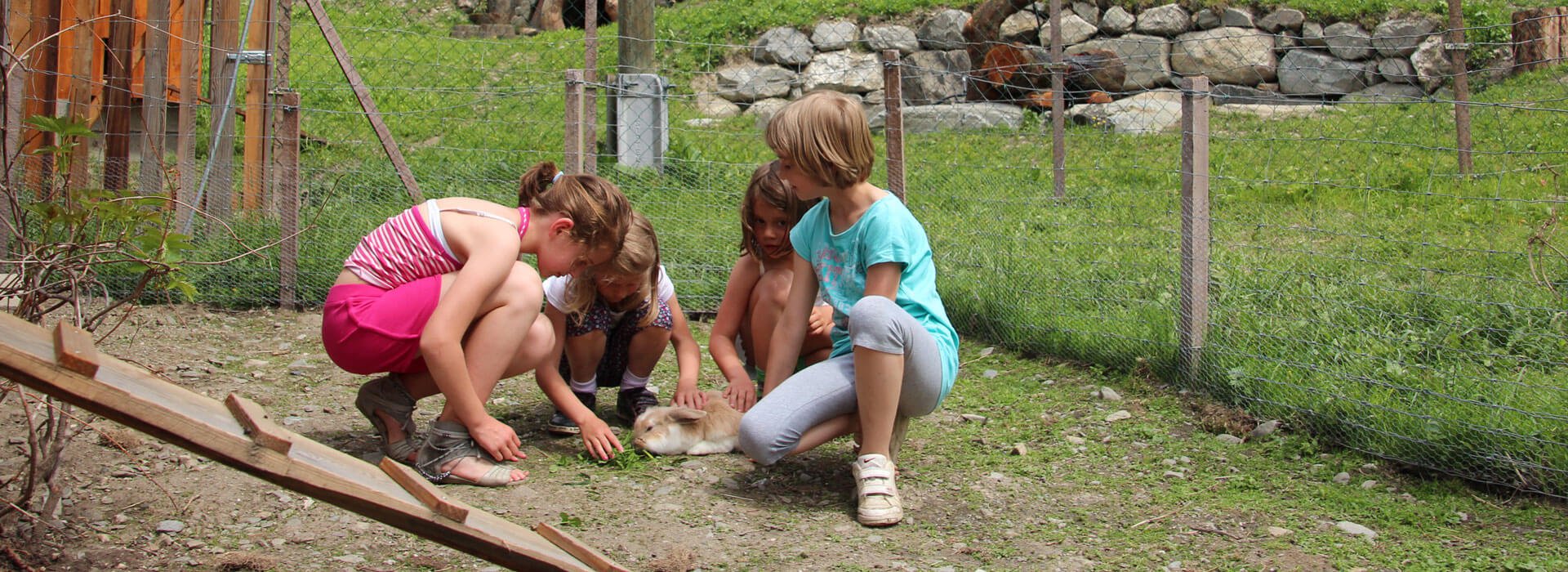 ferienhof-tiere-fuettern