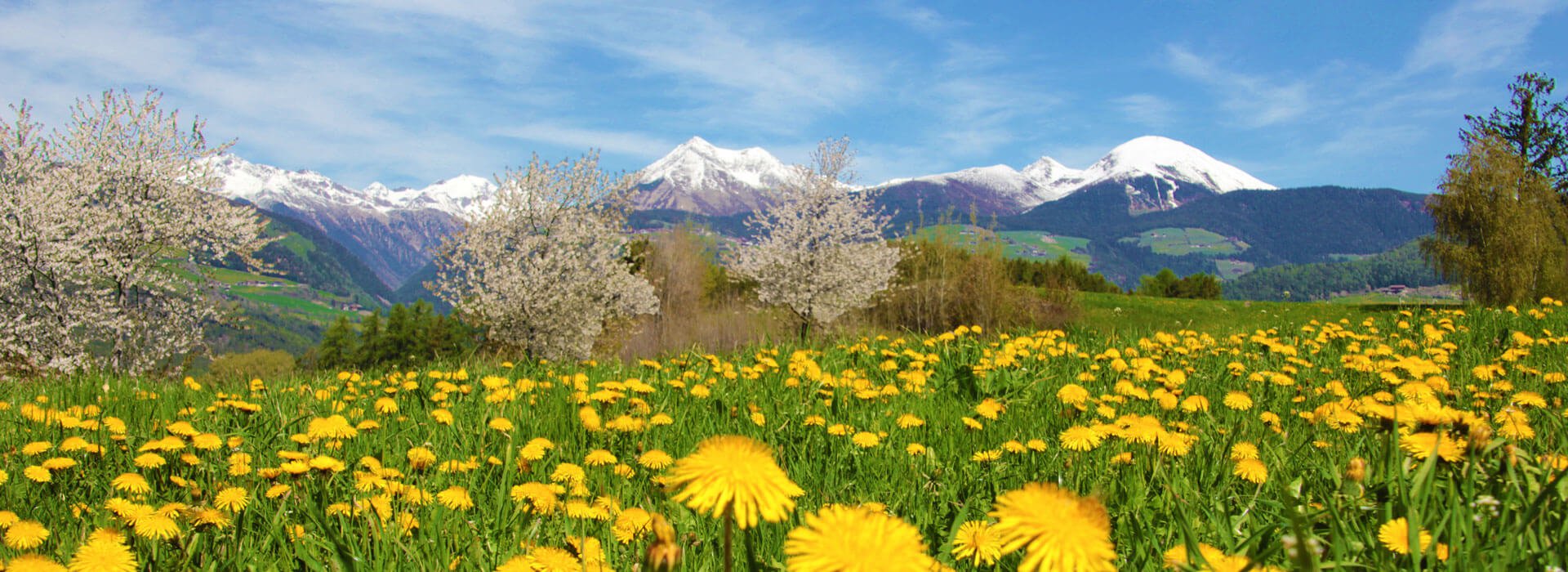 fruehling-eisacktal