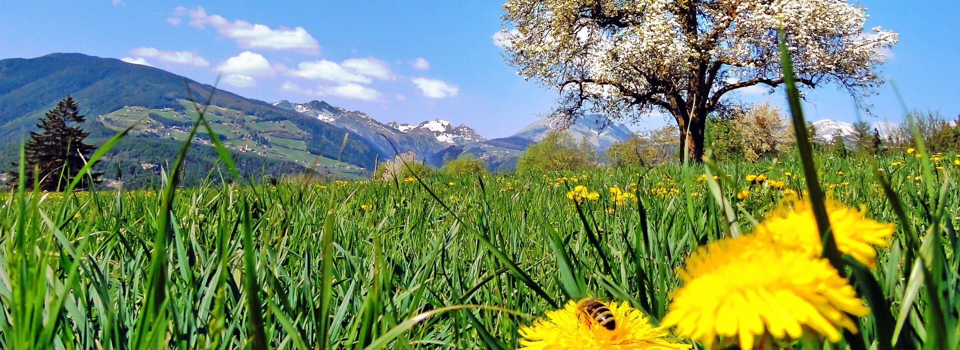 fruehlingsurlaub-suedtirol