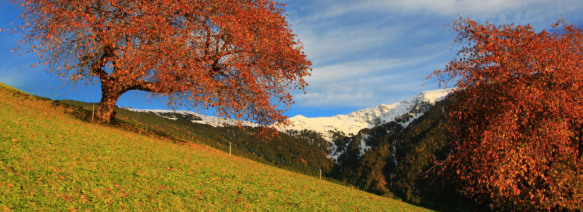 herbst-suedtirol